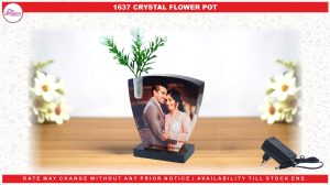 1637 LED CRYSTAL FLOWER FRAME